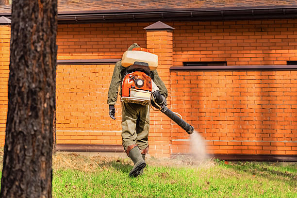 Top rated local Ant Control specialists in Mannford, OK
